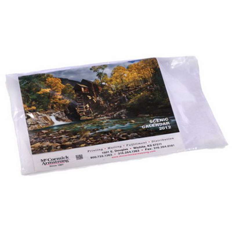 Laddawn® 000170 Low Density Poly Bag, 10 in x 12 in x 1.5 mil, Clear  1000/CA